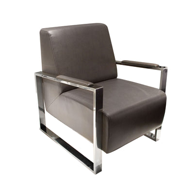 Century Accent Chair w/ Stainless Steel Frame by Diamond Sofa