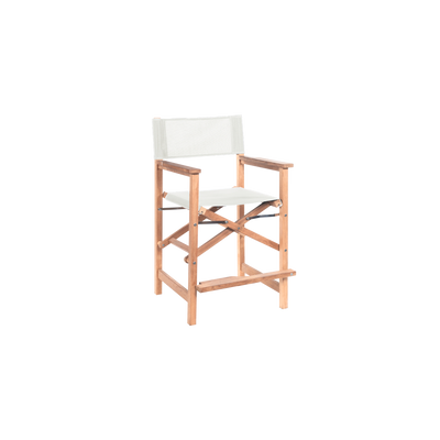 Director 5-Piece Rectangular Teak Outdoor Counter Height Dining Set in Black with Folding Armchairs
