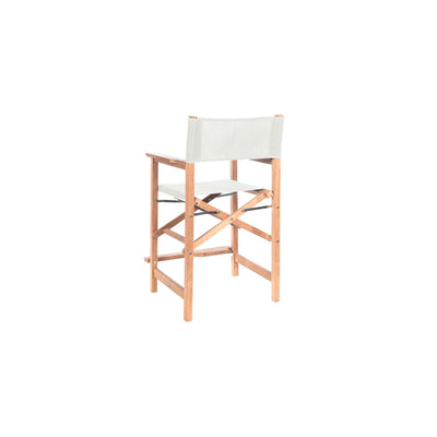 Director 5-Piece Rectangular Teak Outdoor Counter Height Dining Set in Black with Folding Armchairs
