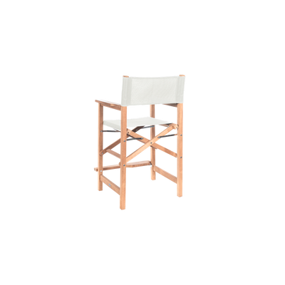 Director 5-Piece Rectangular Teak Outdoor Counter Height Dining Set in Black with Folding Armchairs