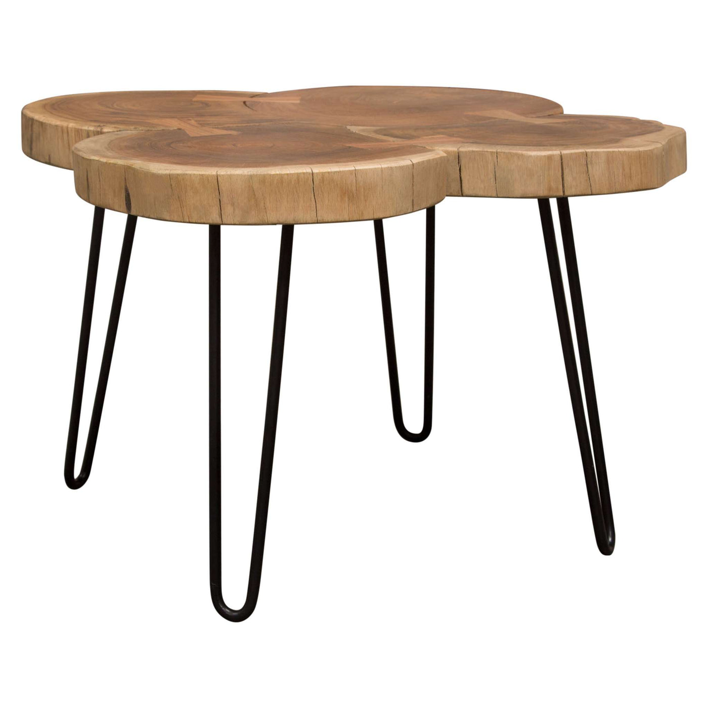 Joss Natural Acacia One of a Kind Table w/ Black Hairpin Legs by Diamond Sofa