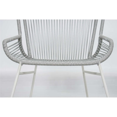 The Dane Dining Arm Chair Set of Two
