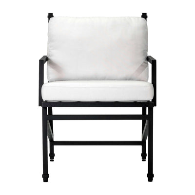 Eterna Dining Arm Chair Set of Two